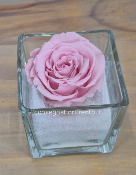 La miglior rosa stabilizzata per il tuo regalo speciale.